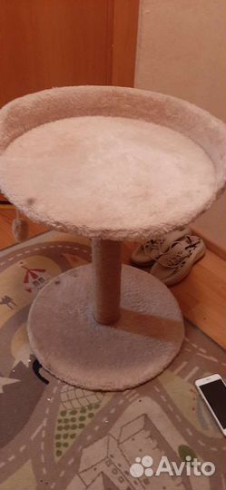 Когтеточка для кошек бу