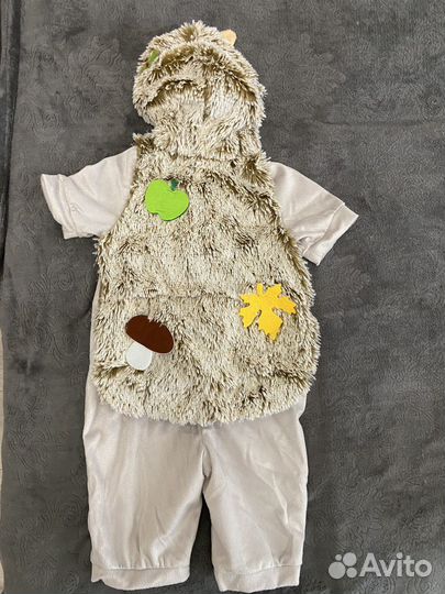 Детский костюм на утренник