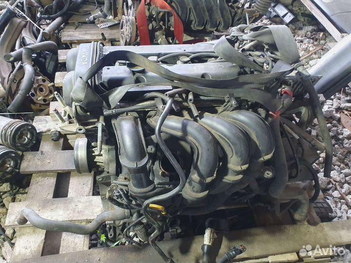 Двигатель hwda Ford Focus 2 V-1.6