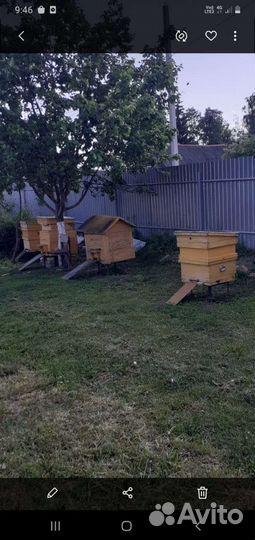 Ульи с пчелами