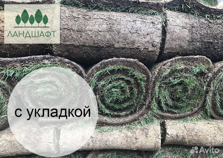 Люкс рулонный газон под ключ доставка Королев