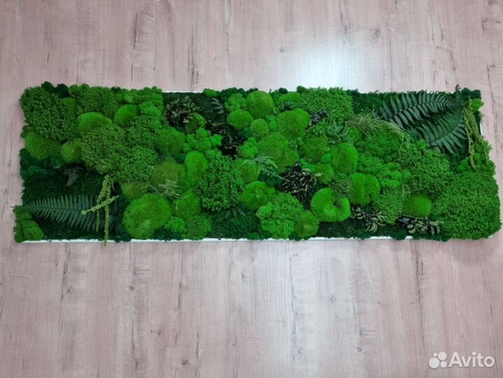 Картина из мха