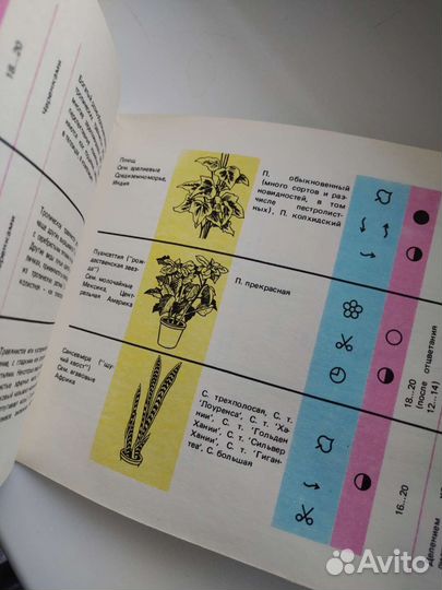 Книги о цветах