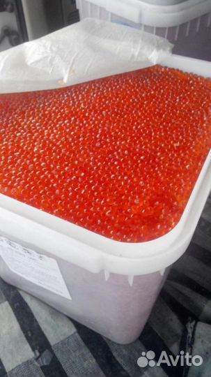 Икра красная