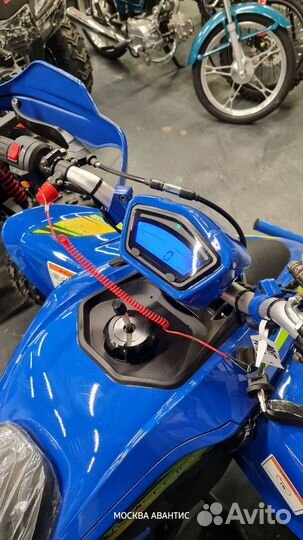 Квадроцикл Якота Yacota typhoon 250 Новый