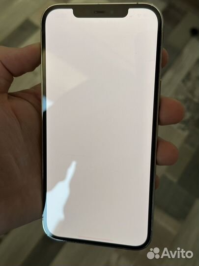 iPhone 12 Pro Max, 256 ГБ