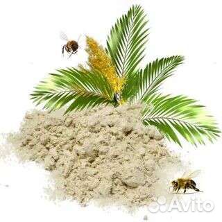 Оптом Пальмовая пыльца 1 кг