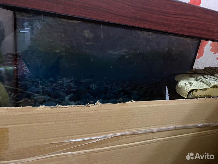Аквариум