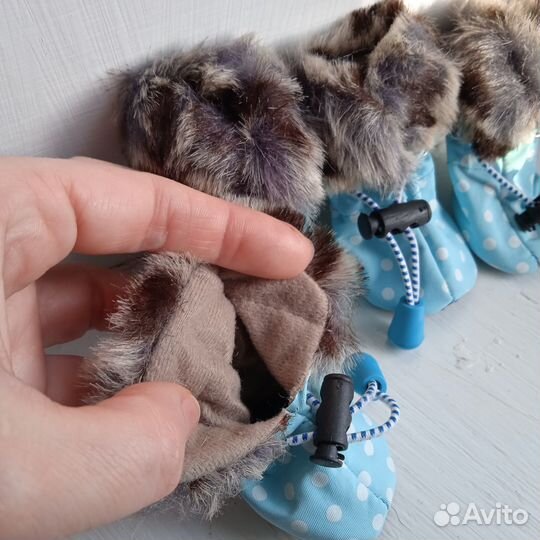 Одежда и обувь для маленьких собак