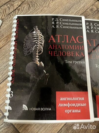 Атлас анатомии человека