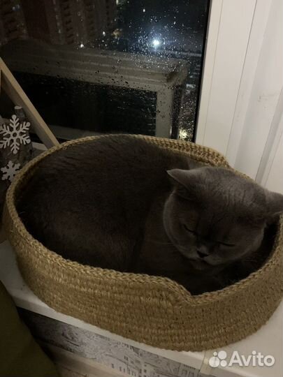 Лежанка (люлька) для кошек и собак