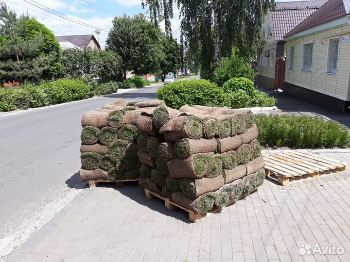 Садовник.Автополив.Газон рулонный