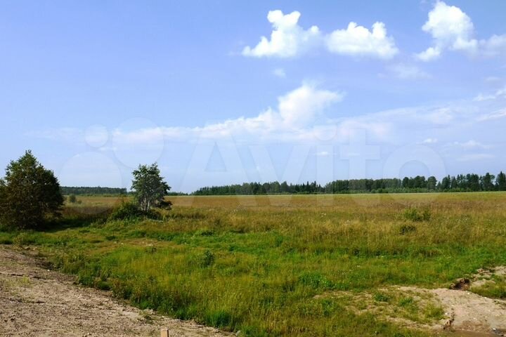 Участок 18 сот. (ИЖС)