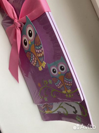 Набор листов для записи «Сова» 2 шт