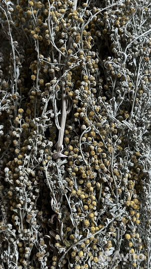 Букет для мужчин веники для бани