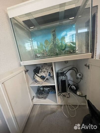 Аквариум 260л