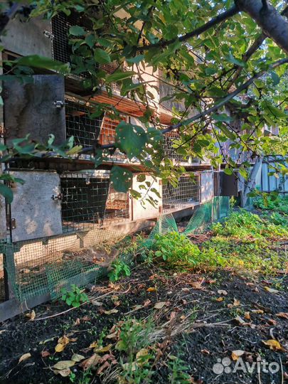 Клетки для кроликов бу