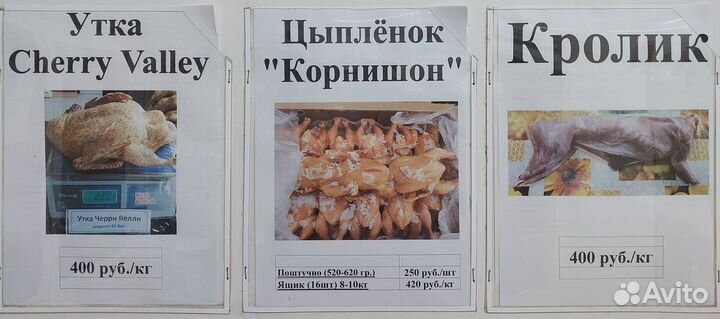 Мясо кролика