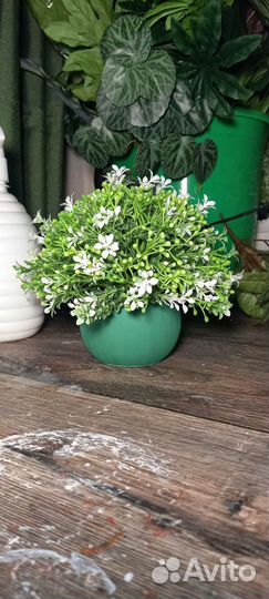 Искуственные растения