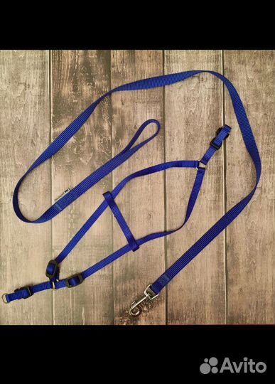 Шлейка и поводок