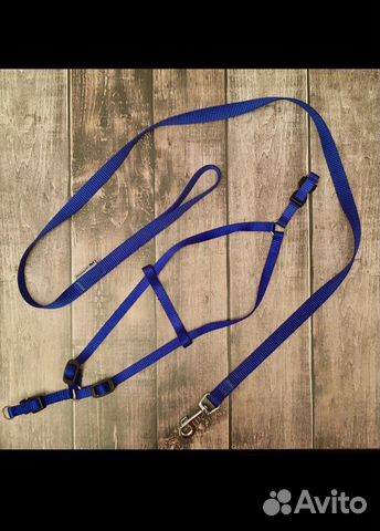 Шлейка и поводок