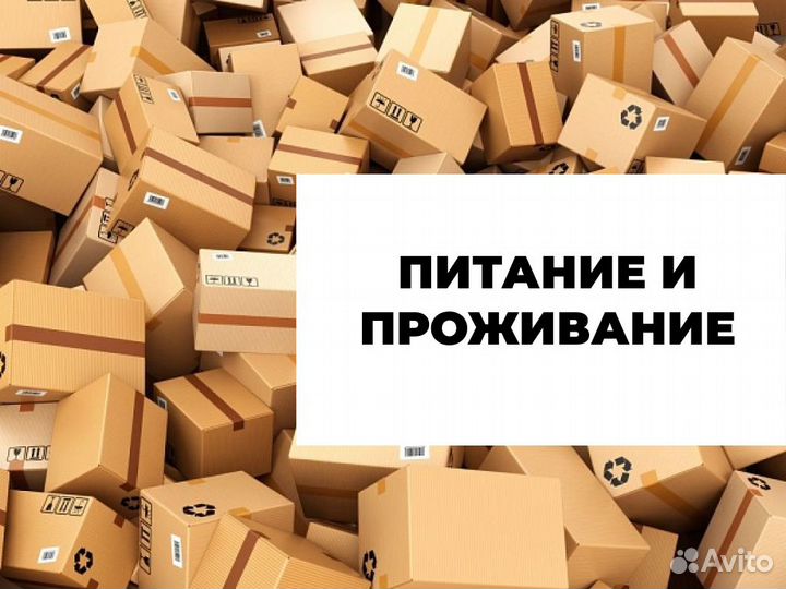 Вахта с проживанием и питанием