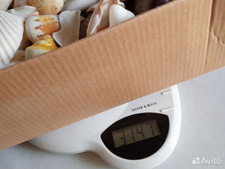 Ракушки (3 кг)