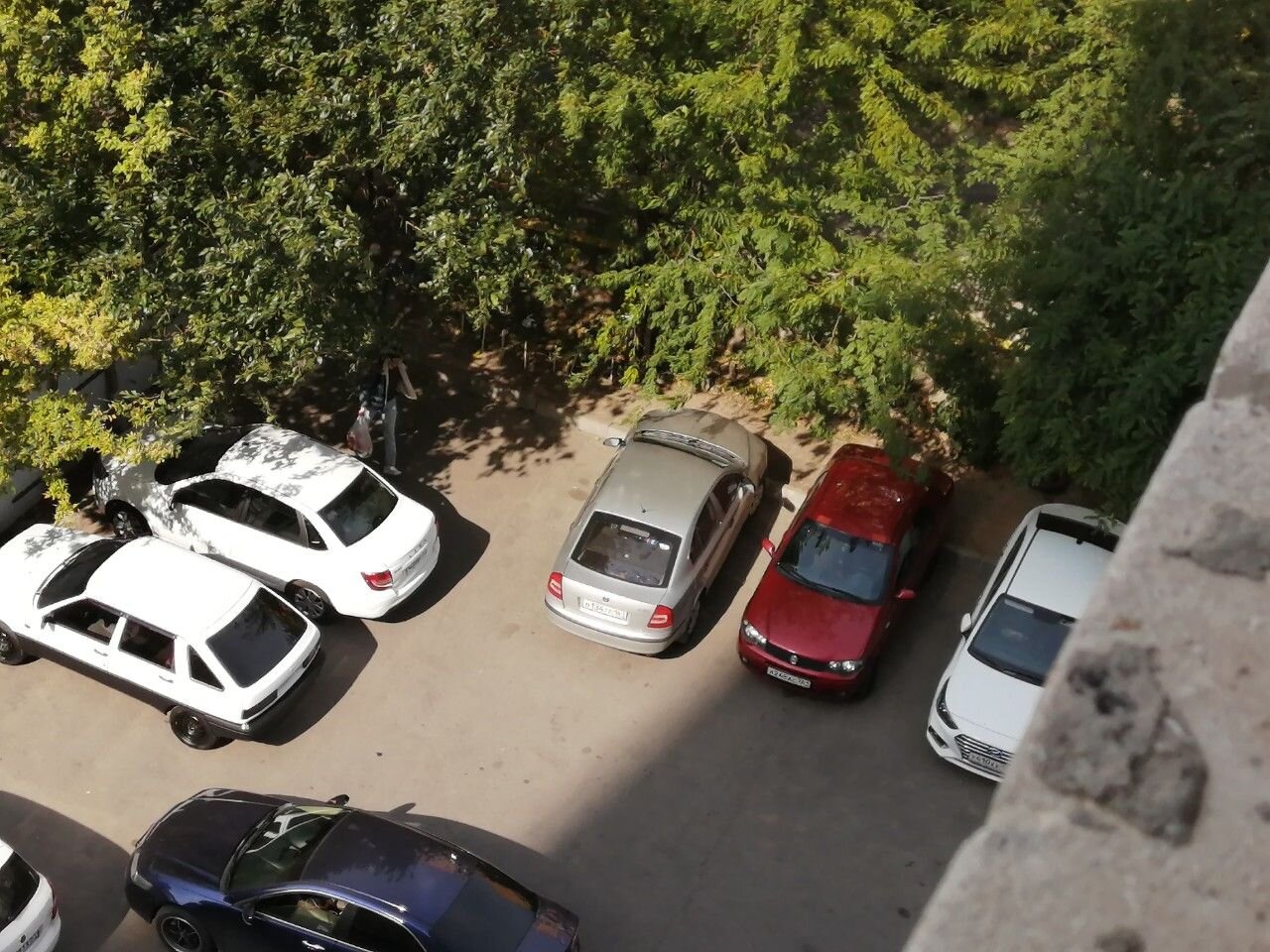 FIAT Albea: фото владельца
