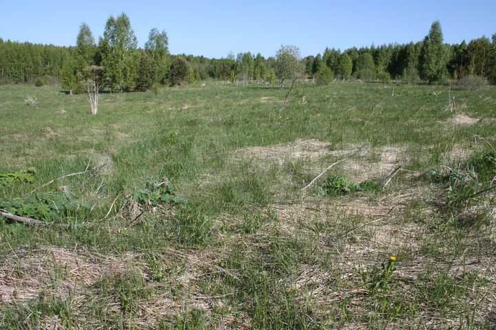 Участок 2,4 га (ИЖС)