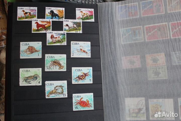 Почтовые марки Кубы фауна