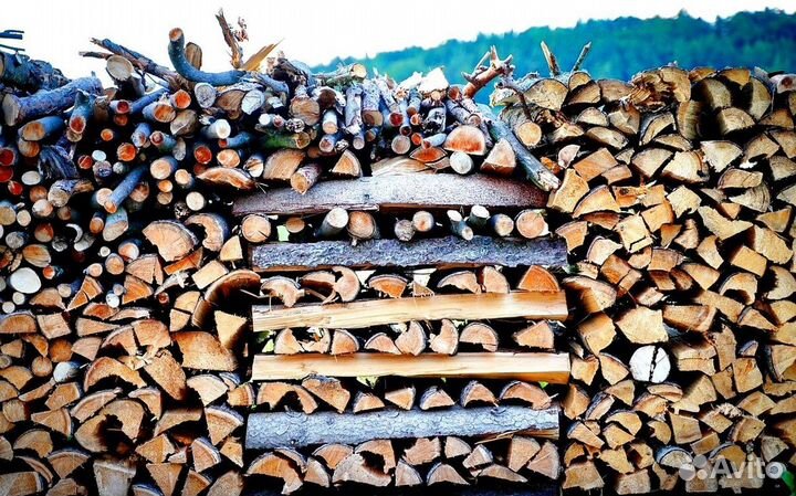 Дрова осина