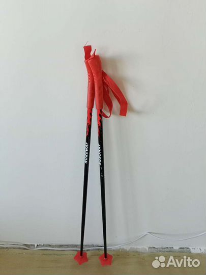 Лыжные палки