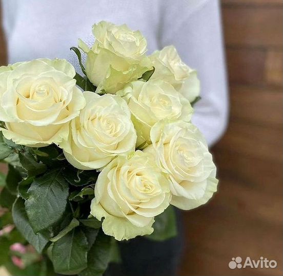 51 Роза, Букеты Цветы Розы 25 101 501 1001