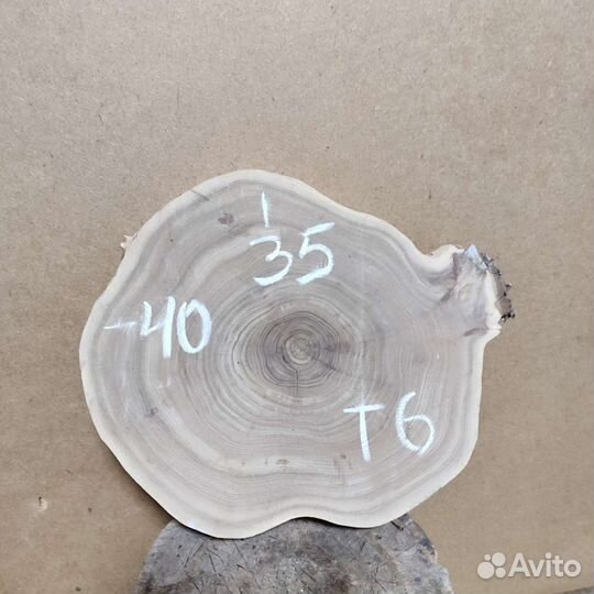 Слэб карагача