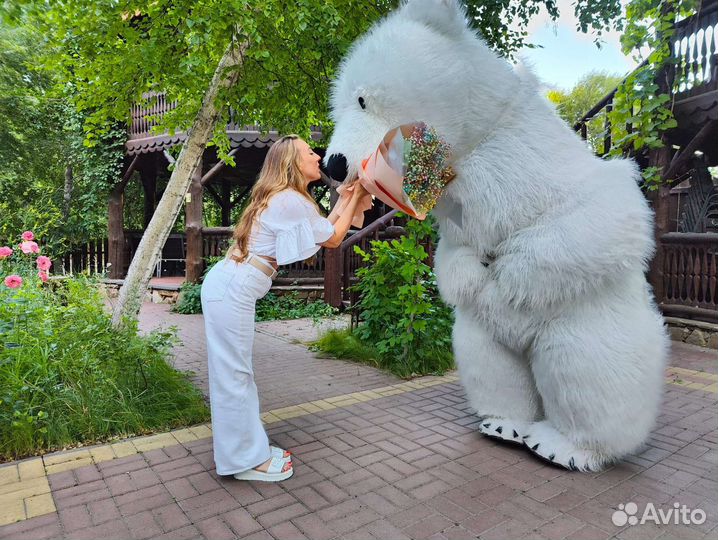 Поздравление от большого белого медведя