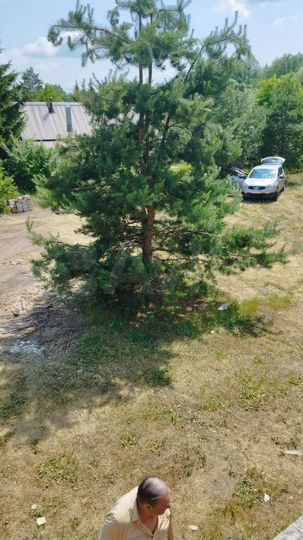 Участок 66 сот. (ИЖС)