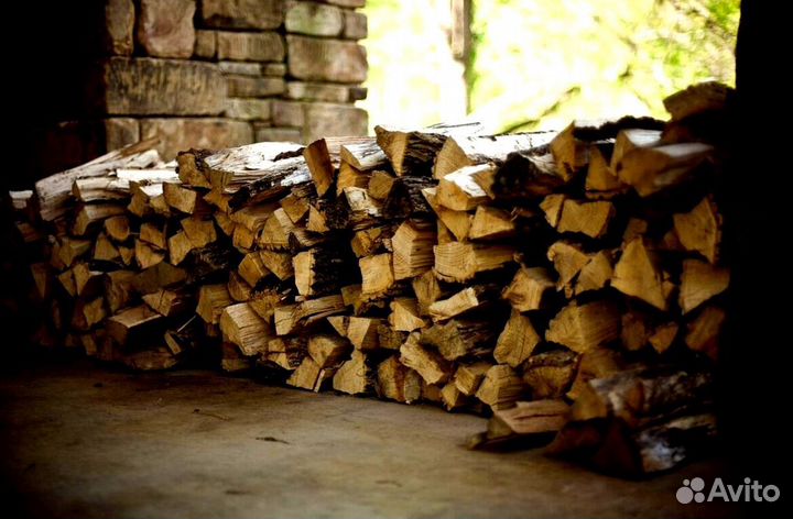 Береза на выбор