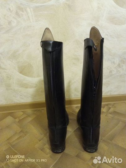 Сапоги для конного спорта Tattini