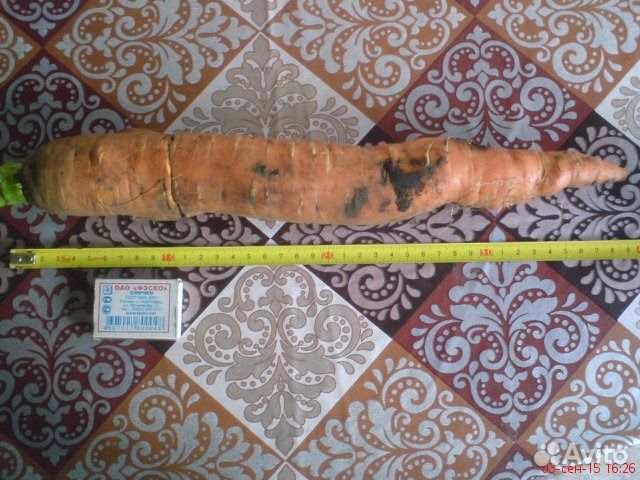 Биогумус (Вермигрунт )