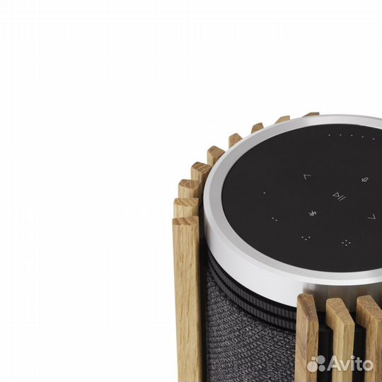 Bang&Olufsen beolab 28