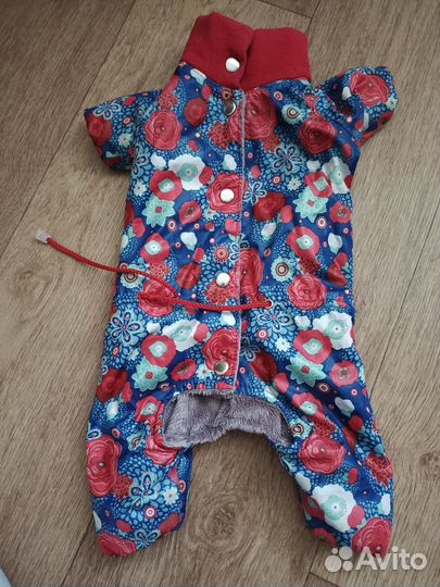 Одежда для собаки