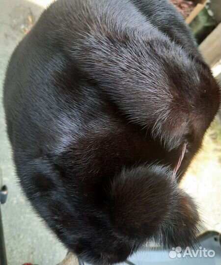 Шапка норковая женская