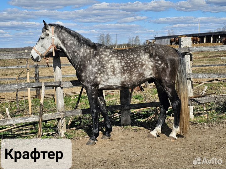 Сокращение поголовья