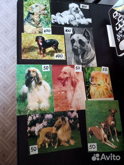 Открытки СССР с собаками