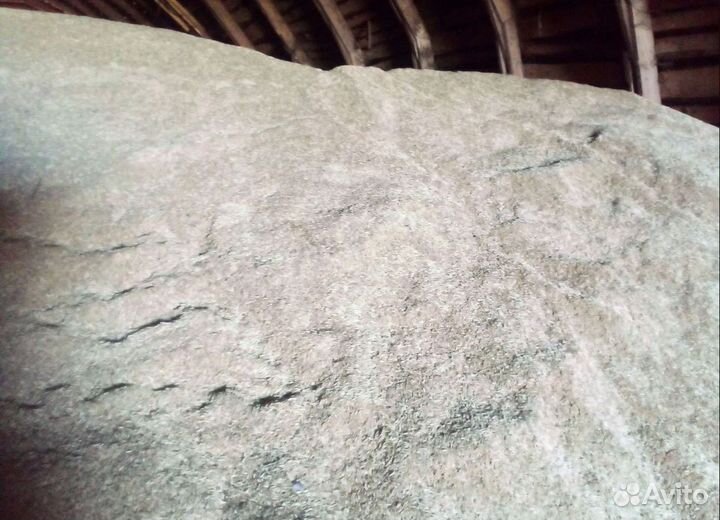 Фасоль, Подсолнечник на корм/посев