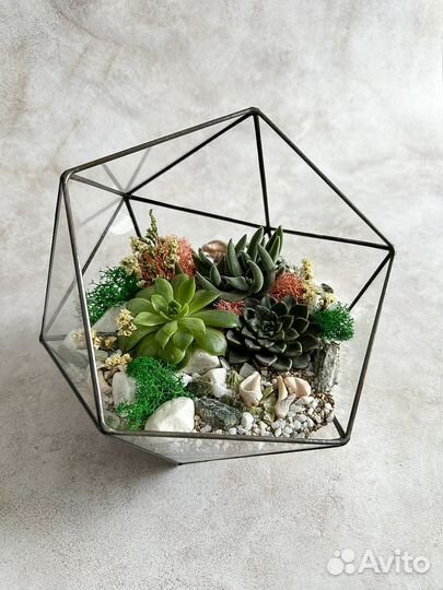 Флорариум. Подарок. Уникальный декор