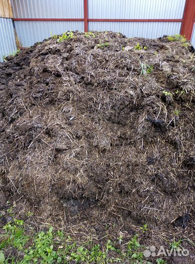 Козий навоз