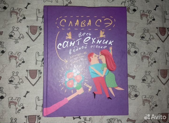 Книга Сантехник Слава Сэ