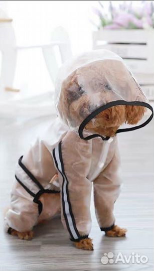Одежда для собак, дождевик