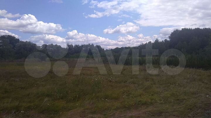 Участок 55,5 сот. (ИЖС)